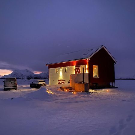 Unique Barnhouse In Amazing Gimsoy In Lofoten Saupstad  Dış mekan fotoğraf