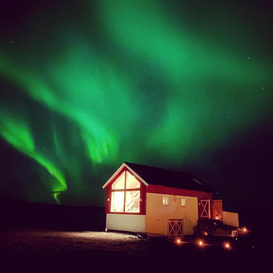 Unique Barnhouse In Amazing Gimsoy In Lofoten Saupstad  Dış mekan fotoğraf