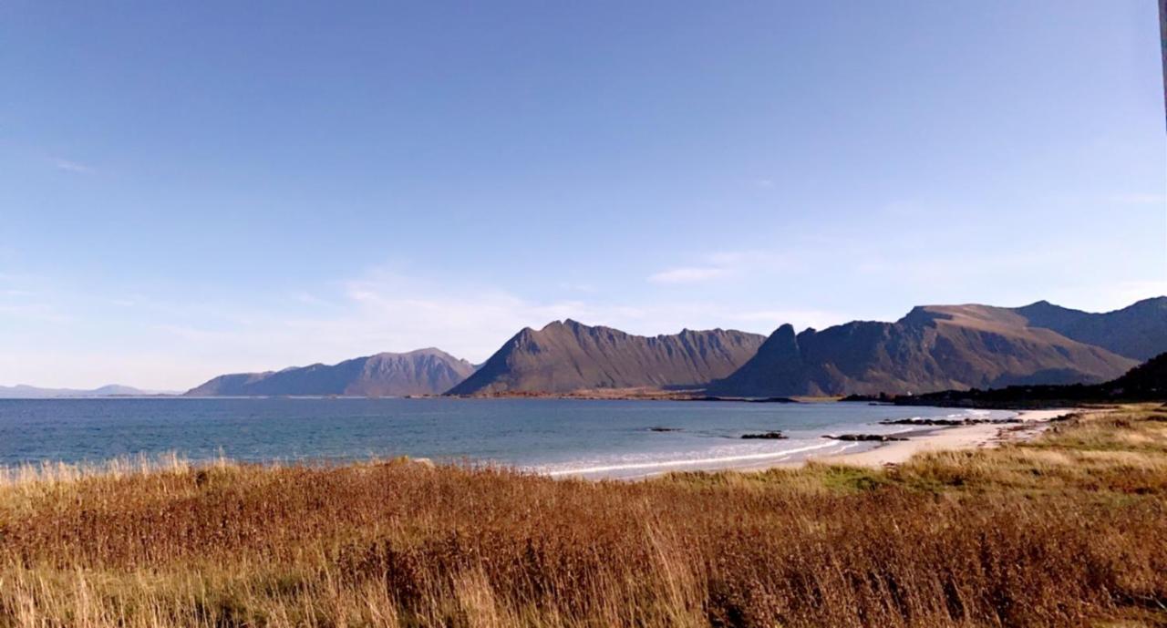Unique Barnhouse In Amazing Gimsoy In Lofoten Saupstad  Dış mekan fotoğraf