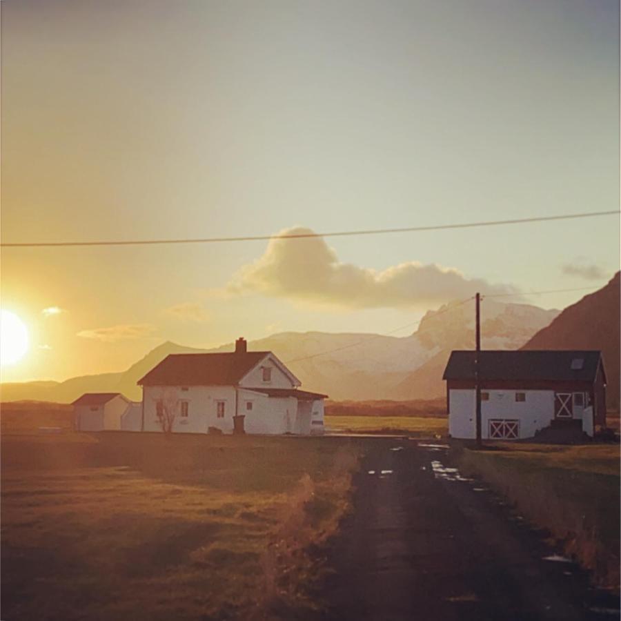 Unique Barnhouse In Amazing Gimsoy In Lofoten Saupstad  Dış mekan fotoğraf