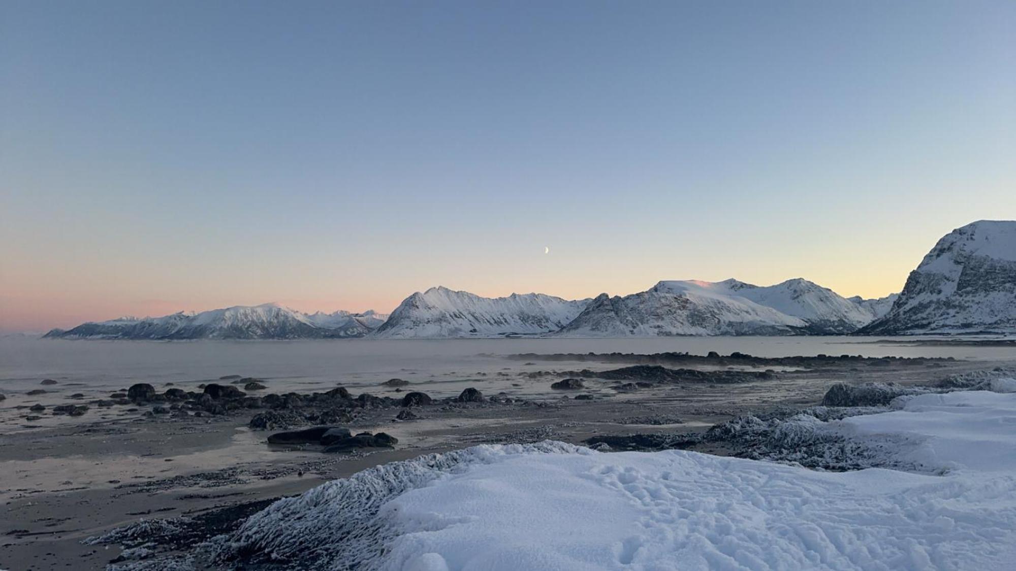 Unique Barnhouse In Amazing Gimsoy In Lofoten Saupstad  Dış mekan fotoğraf